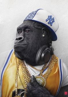 a gorilla with headphones on and wearing a baseball cap is shown in front of a white wall