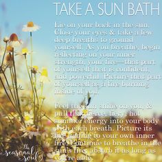 the words take a sun bath are in front of some daisies and other flowers