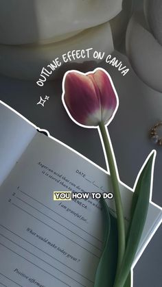 Make your image pop with this Canva Effect 🤍