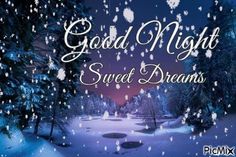 a snowy scene with the words good night sweet dreams