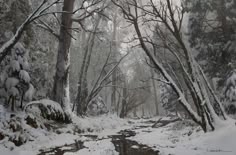 a stream running through a snow covered forest