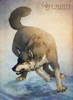 a drawing of a wolf in the water