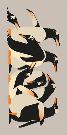 an image of birds flying in the air with orange and black feathers on their wings