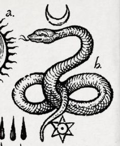 an image of a snake and sun tattoo