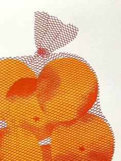 an image of oranges on a white background with mesh overlaying the top
