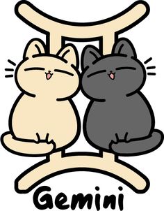 two cats sitting next to each other with the word gemini written below them
