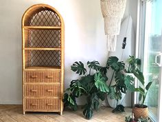 a wicker shelf next to a potted plant in a room with white walls