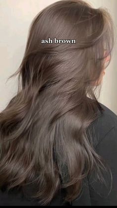 Ash Brown Chocolate Hair, Ashy Brown Hair All Over Color, Cool Toned Ash Brown, Cool Medium Ash Brown, Asian Ash Brown, Cool Brown Haircolor, Hair Color Brown Ash, Full Color Hair, Medium Ash Brown Balayage