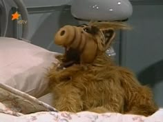 a stuffed animal is laying in a hospital bed with its mouth open and tongue out