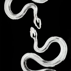 a white snake on a black background with the letter s in it's mouth