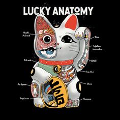 the anatomy of a lucky cat on a black t - shirt with an orange tag