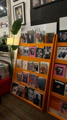 an orange book shelf filled with books next to a potted plant and pictures on the wall