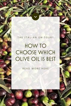 olives with the words how to choose which olive oil is best read more here