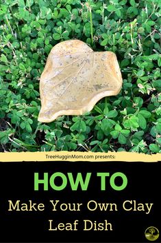 how to make your own clay leaf dish