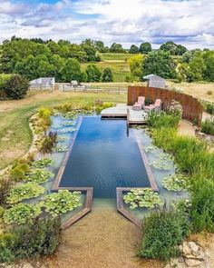 an aerial view of a pond surrounded by water lilies