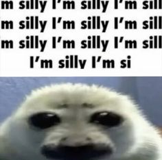 an animal that is looking at the camera with caption in it's mouth