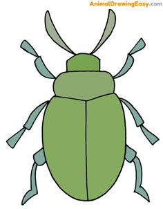 an image of a green bug with long legs and two antennae on its back end