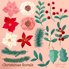 christmas flowers and leaves on a pink background with the words christmas florals written below