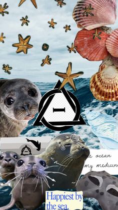 an image of sea animals and starfishs in the ocean with caption that says happiness by the sea
