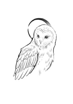 an owl is shown in this black and white drawing, it's wings are spread out