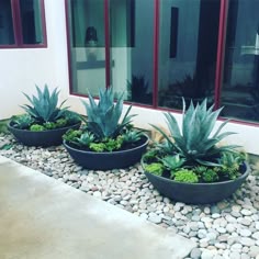 three large planters filled with succulents and rocks in front of a building
