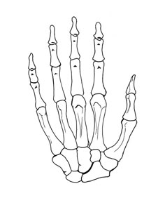 the hand is shown in black and white, with no hands on one side as well as