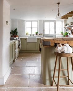 a cat sitting on top of a wooden stool in a kitchen next to a counter