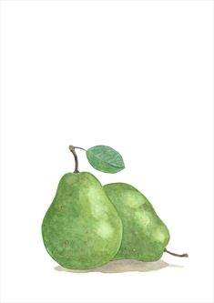 two green pears with a leaf on top