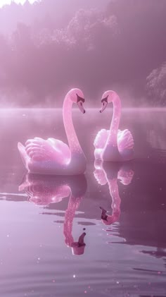 two pink swans floating on top of a lake