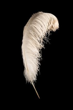 a white feather on a black background