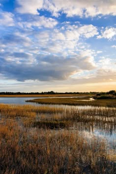 the sky is filled with clouds and some water in front of tall grass, reeds and grasses