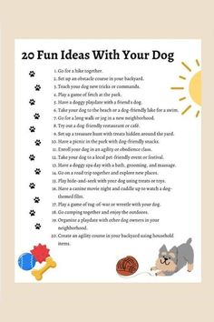 a dog's paw print with the words 20 fun ideas with your dog