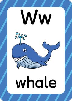 the letter w is for whale