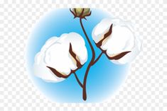 two cotton flowers on a branch with blue sky in the background clip art, hd png