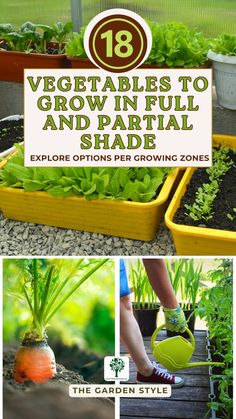 vegetables to grow in full and partial shade with text overlay that reads 18 vegetable gardens to grow in full and partial shade