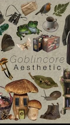 the cover of goblincore aestheticic, with many different items in it