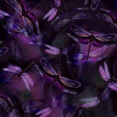 many purple dragonflies are flying in the air