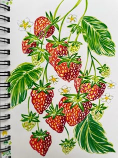 a drawing of strawberries with leaves and flowers