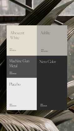 three shades of gray, white and black in the same color scheme