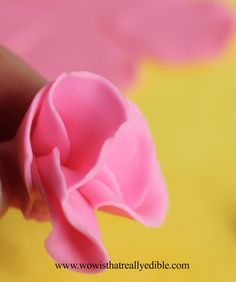 a close up of a person holding a pink flower in their right hand and yellow background