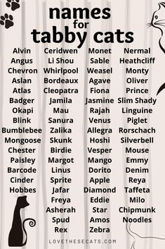 the names for tabby cats