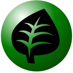 an image of a green leaf on a white background