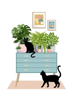 a black cat sitting on top of a dresser next to plants