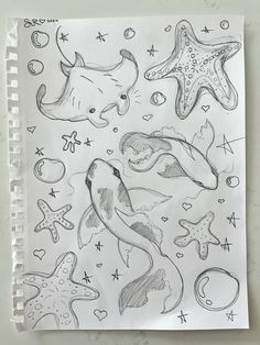 a drawing of sea animals and starfishs on paper
