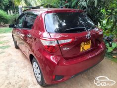 the rear end of a red toyota yaris parked in front of some trees and bushes