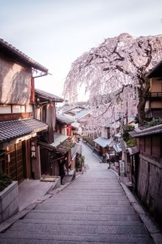 an alley way with cherry blossom trees in the background
