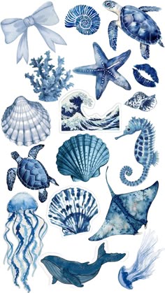 various sea animals are shown in blue and white