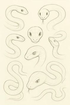 some different types of snakes on a white paper with one drawing in the middle and another drawing