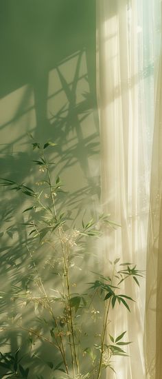 a plant in a vase sitting next to a window with white sheers on it