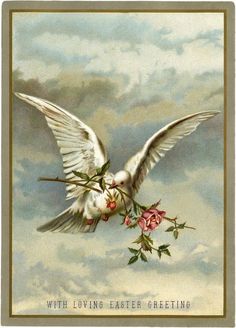 a white dove with flowers in it's beak flying through the air over clouds